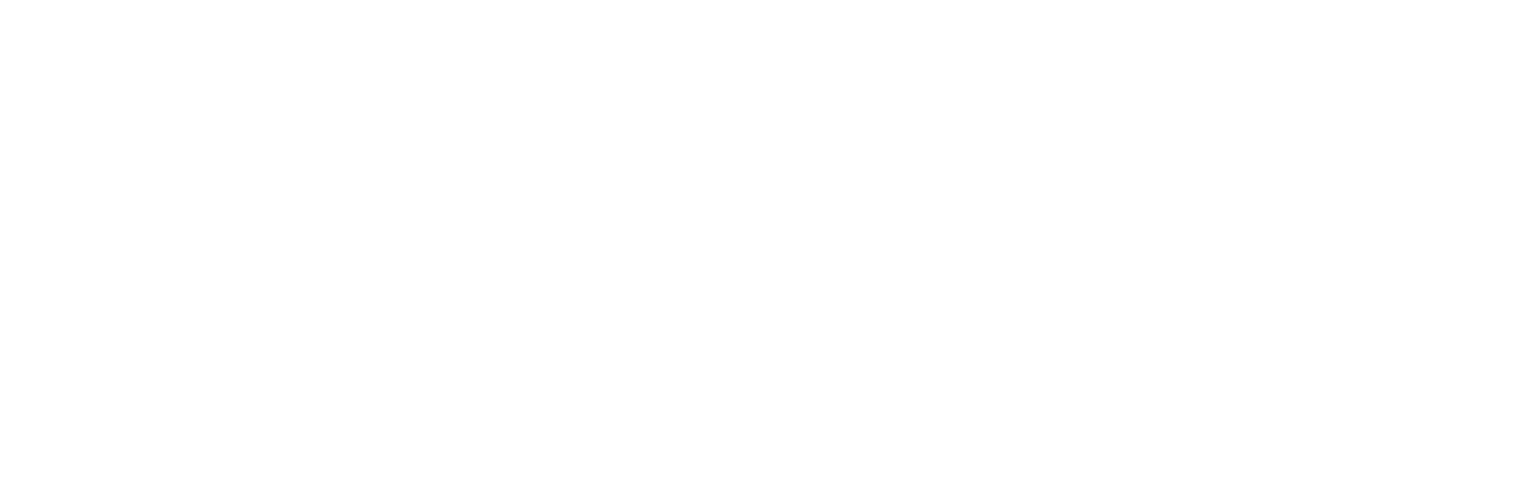 Windsurf White Logo